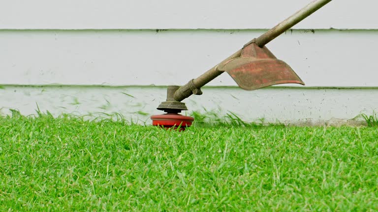 Best Leaf Removal  in Tysons, VA
