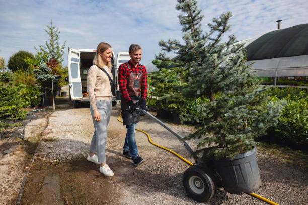 Best Firewood Processing and Delivery  in Tysons, VA